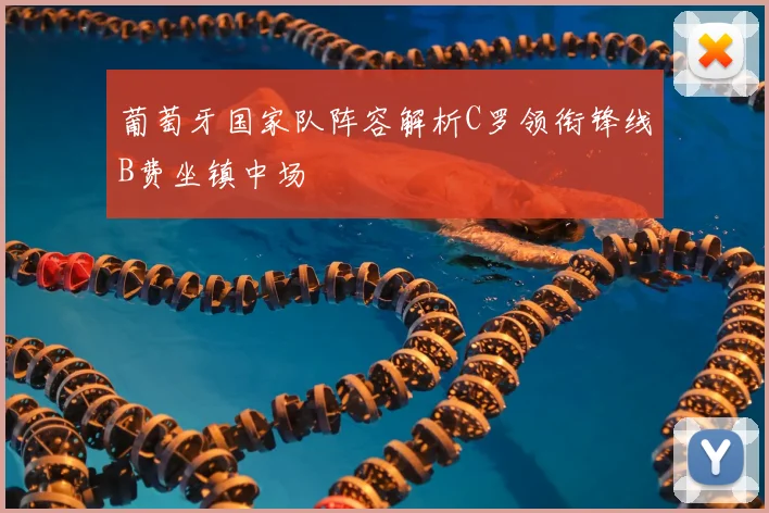 葡萄牙国家队阵容解析C罗领衔锋线B费坐镇中场