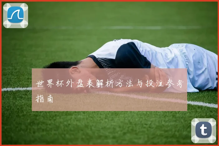 世界杯外盘表解析方法与投注参考指南